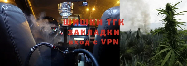не бодяженный Бородино